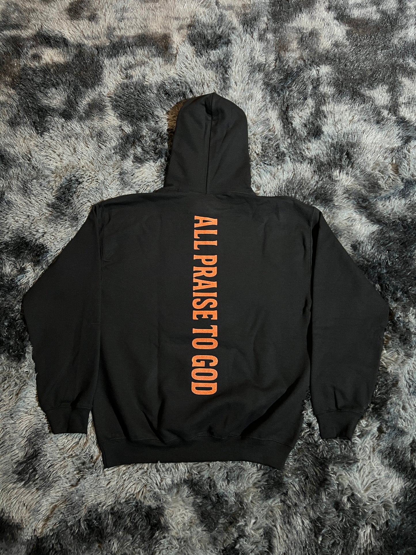 Wings of Praise Hoodie