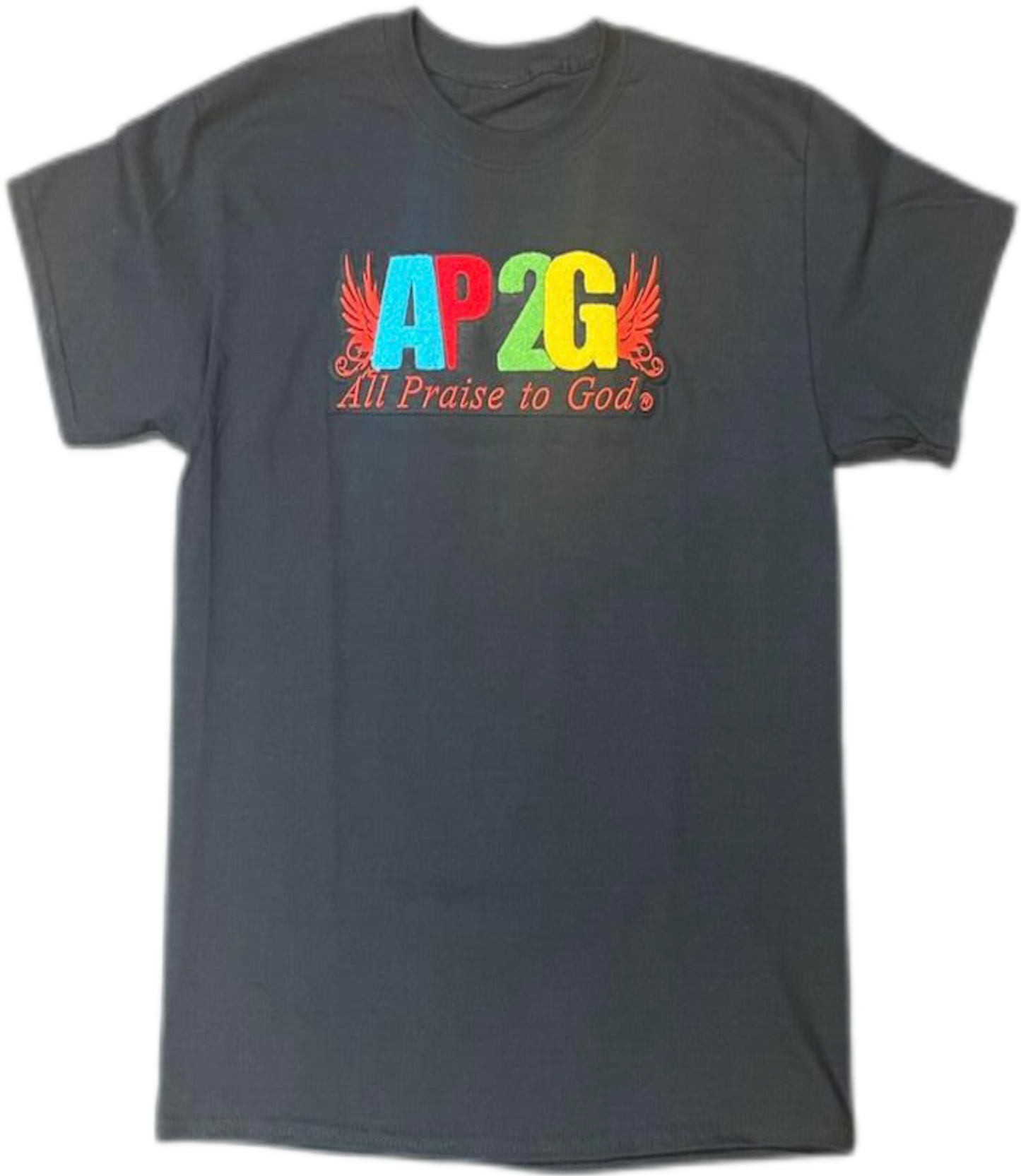 AP2G Wing Chenille patch t-shirt