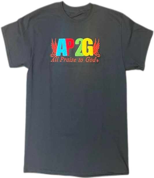 AP2G Wing Chenille patch t-shirt