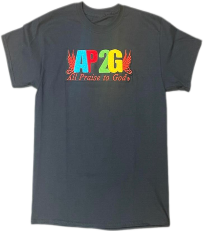 AP2G Wing Chenille patch t-shirt