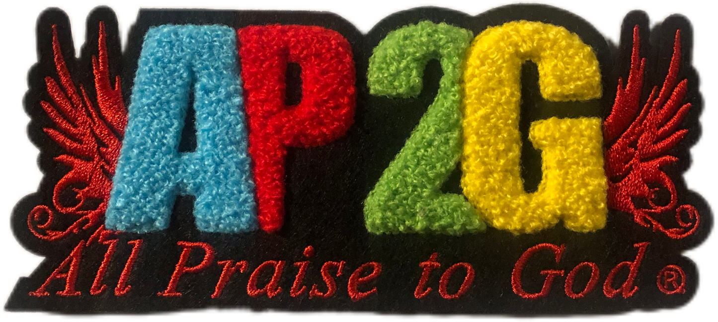 AP2G Wing Chenille patch t-shirt