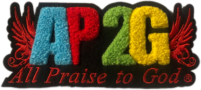 AP2G Wing Chenille patch t-shirt