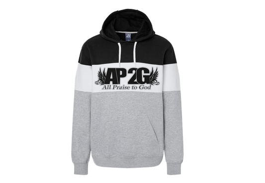 AP2G praise wing Varsity Fleece (pullover)