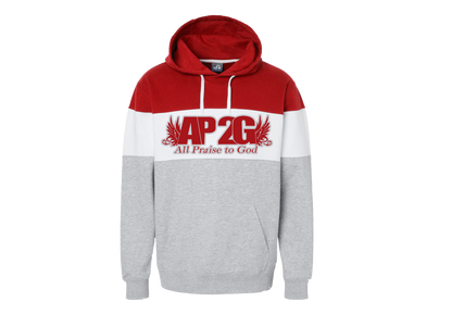 AP2G praise wing Varsity Fleece (pullover)