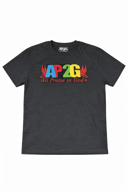 AP2G Chenille Patch Tee